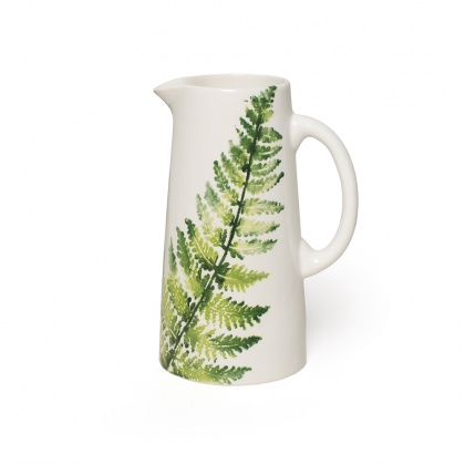 Pitcher Fern: click to enlarge