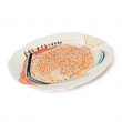 Oval Platter Douwing Princess