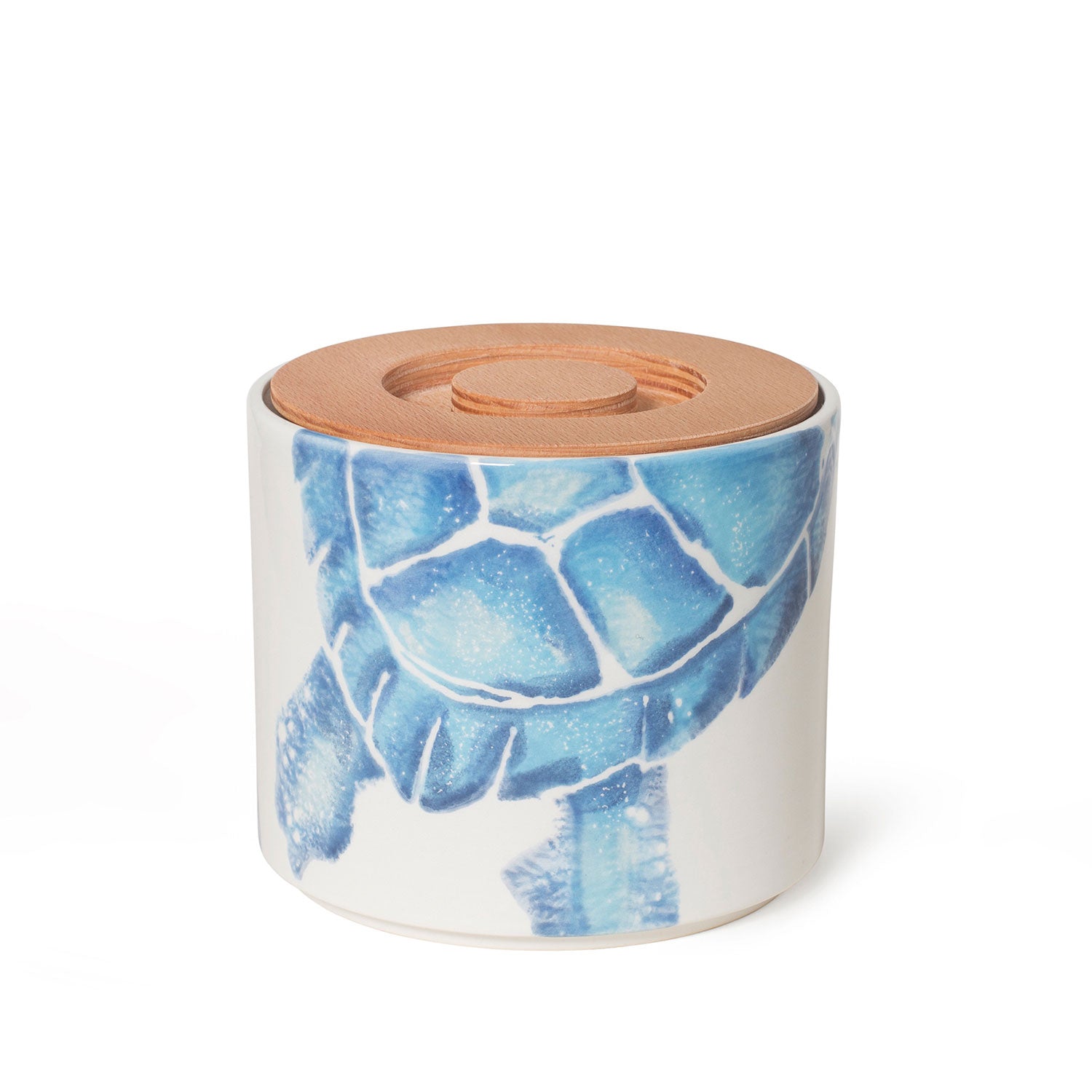 Storage Jar Turtle