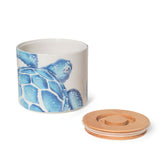Storage Jar Turtle