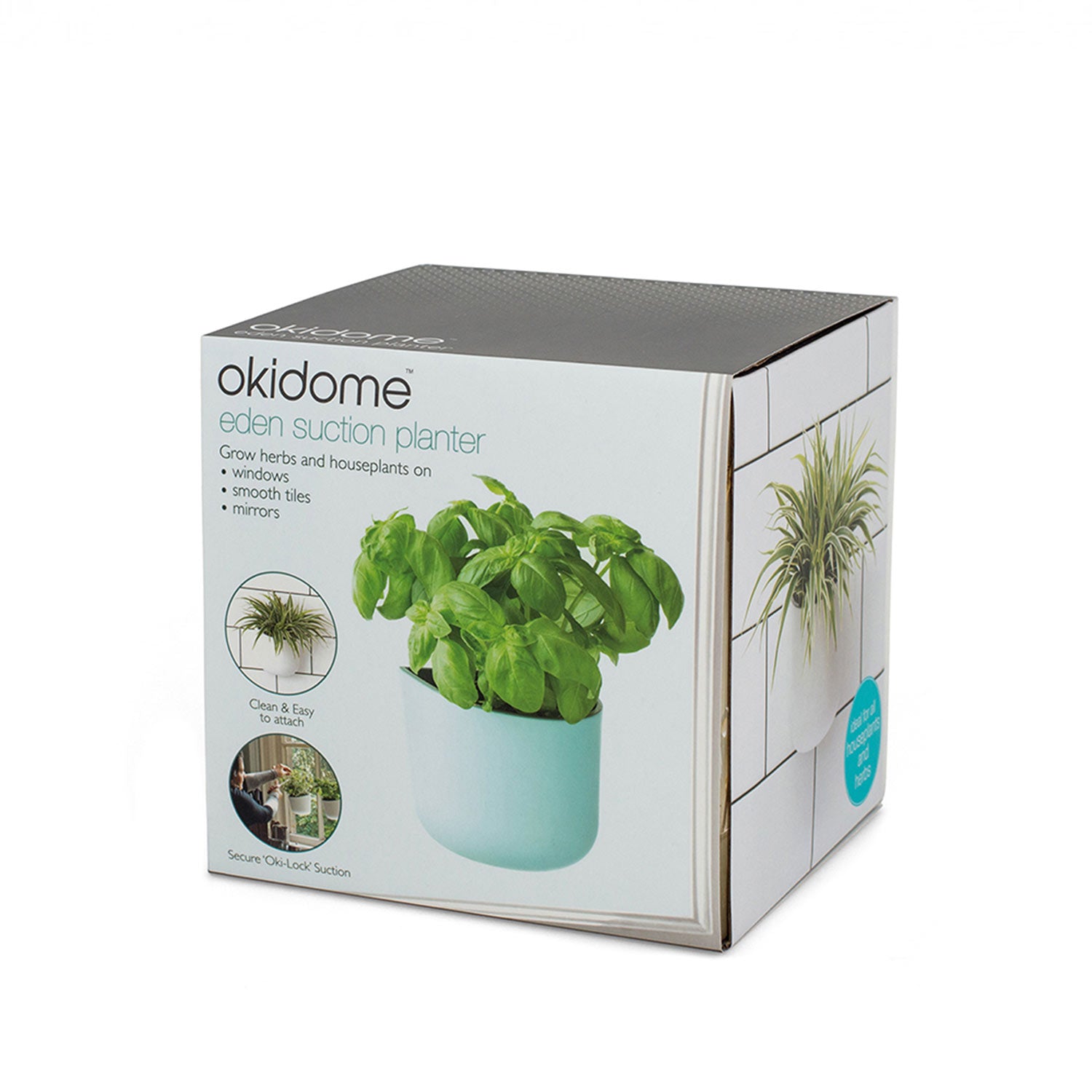 Eden Suction Herb/Plant Pot | Blue