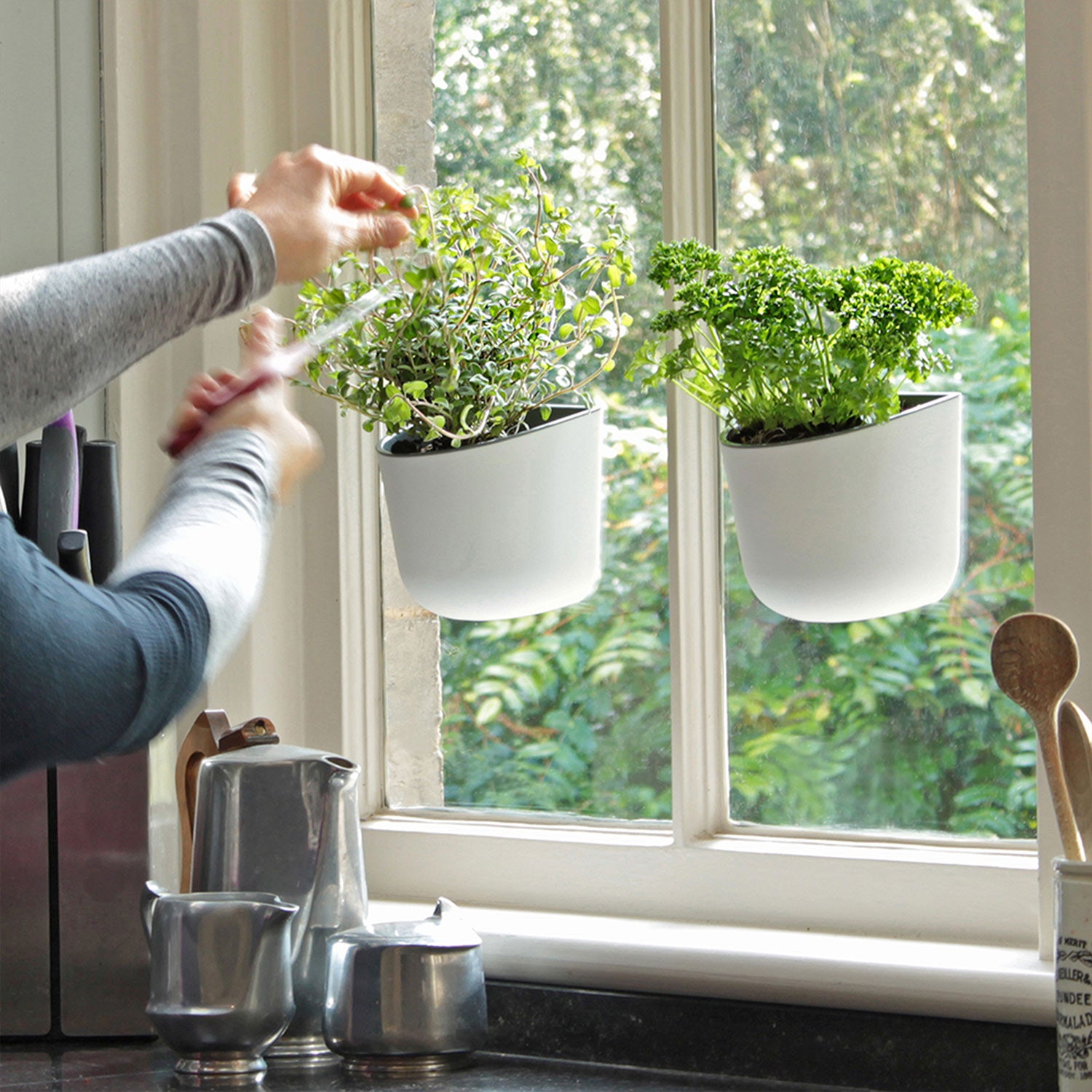 Eden Suction Herb/Plant Pot | White