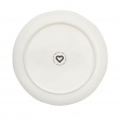 Dinner Plate Elderberry