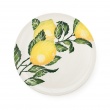Dinner Plate Lemons